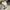 Polo Ralph Lauren Luxury Sweater Pria white photo 1