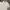 Polo Ralph Lauren Luxury Sweater Pria white photo 2