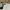 Polo Ralph Lauren Luxury Sweater Pria white photo 4