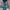 Clride Streetwear Jeans Pria blue photo 3