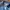 Clride Streetwear Jeans Pria blue photo 4
