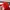 Adidas Sportswear Hoody Pria red photo 6