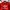 Adidas Sportswear Hoody Pria Red