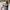 Polo Ralph Lauren Luxury Sweater Pria white photo 4