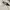 Polo Ralph Lauren Luxury Sweater Pria white photo 3