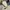Polo Ralph Lauren Luxury Sweater Pria white photo 1