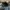 New Era Casual Hat Pria black photo 5