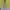 Sportswear Track jacket Wanita yellow photo 2