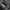Under Armour Streetwear Sportswear Hoody Pria gray photo 3
