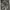 Levi's Streetwear Casual Jeans Pria gray photo 2
