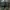 Minimalist Flat Wanita green photo 1