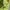 Streetwear Bomber jacket Pria green photo 4