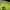Streetwear Bomber Jacket Pria Green