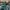 47 Brand Casual Hat Pria green black photo 1