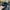 47 Brand Casual Hat Pria green black photo 3