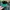 47 Brand Casual Hat Pria green black photo 5