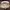 Luxury Minimalist Handbag Wanita white photo 2