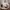 Luxury Minimalist Handbag Wanita white photo 1