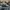 Starter Casual Hat Pria multicolor photo 4