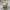Streetwear Casual Harrington jacket Pria white photo 2