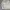 Streetwear Casual Harrington jacket Pria white photo 4