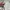 Streetwear Casual Harrington jacket Pria white photo 6
