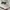 Streetwear Casual Harrington jacket Pria white photo 5