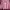 Casual Sweater Wanita pink photo 1