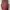 Vintage Indie Vest Pria Burgundy