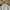 Castelbajac Casual Polo shirt Pria white photo 4