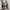 Castelbajac Casual Polo shirt Pria white photo 3