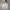 Vintage Streetwear Hoody Pria gray photo 2