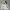 Vintage Streetwear Hoody Pria gray photo 1