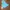 Luxury Casual Windbreaker Wanita multicolor photo 2