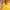 Vintage Luxury Kebaya Wanita gold yellow photo 4