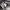 Avirex Casual Casual shirt Pria white black photo 7