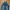 ZARA Biker Casual Vest Pria multicolor photo 3