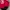 ECKO UNLTD Streetwear Y2K T-shirt Pria red photo 5