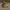 Timberland Vintage Biker Boots Pria brown photo 1