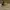 The North Face Vintage Streetwear Boots Pria brown photo 1