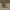 VANS Streetwear Grunge Boots Pria brown photo 1