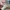 Converse Emo Reworked Sneakers Wanita burgundy white photo 4
