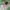 Futurist Track jacket Pria green photo 3