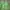 Futurist Track Jacket Pria Green