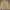Eider Futurist Jersey Pria yellow photo 1