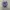 Adidas Streetwear Casual Sneakers Pria navy photo 3
