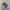 Adidas Streetwear Casual Sneakers Pria navy photo 1