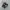 Adidas Streetwear Casual Sneakers Pria White Black