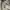 Nike Streetwear Skater Hoody Pria gray photo 4
