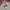 Nike Streetwear Skater Hoody Pria gray photo 2